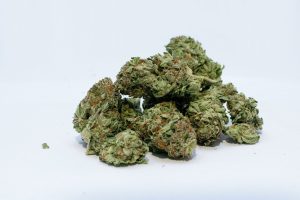 cannabis gras blüten